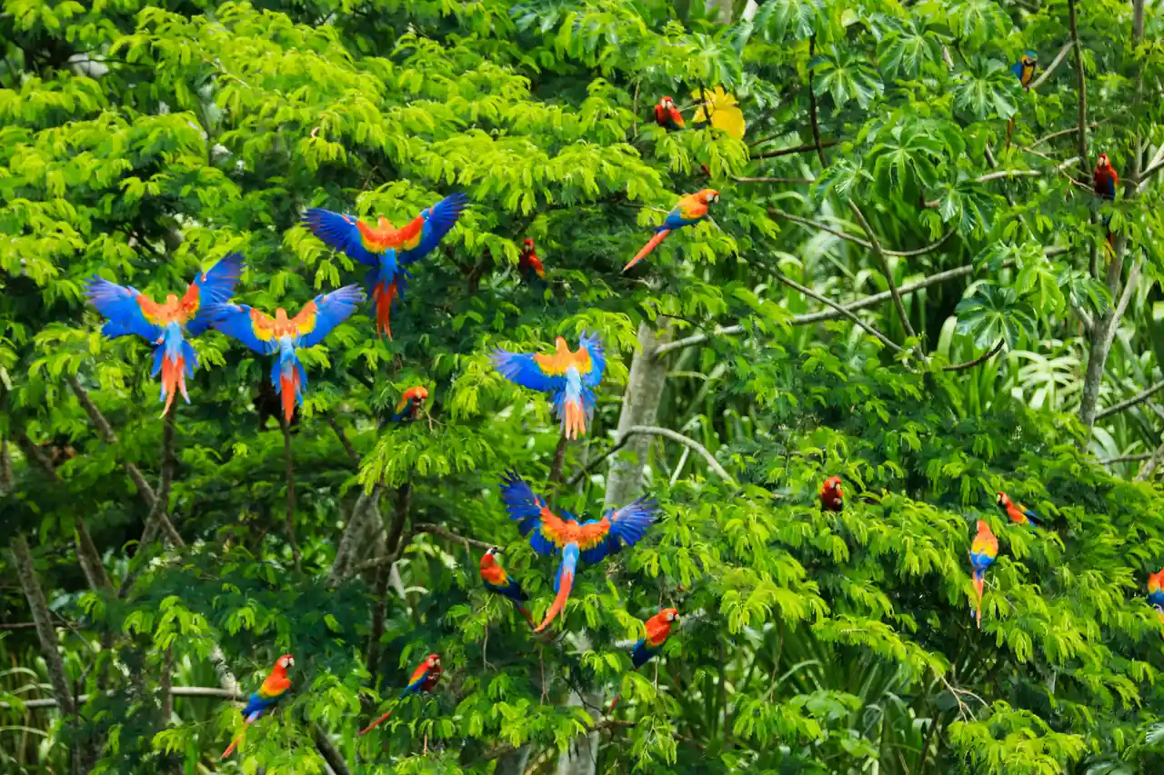 Automatisation respectueuse de la nature